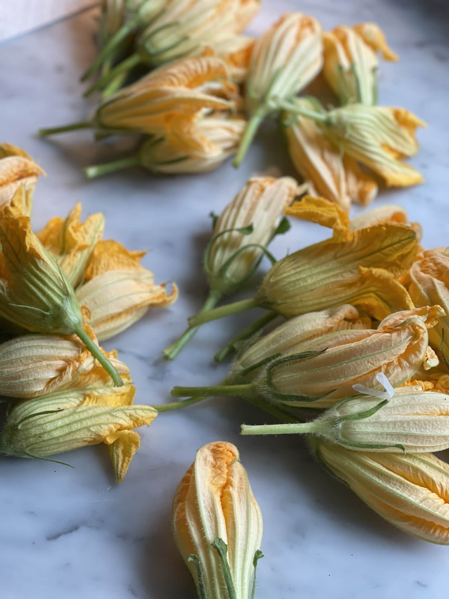 Air Fried Stuffed Zucchini Flowers Sweet Savory and Steph