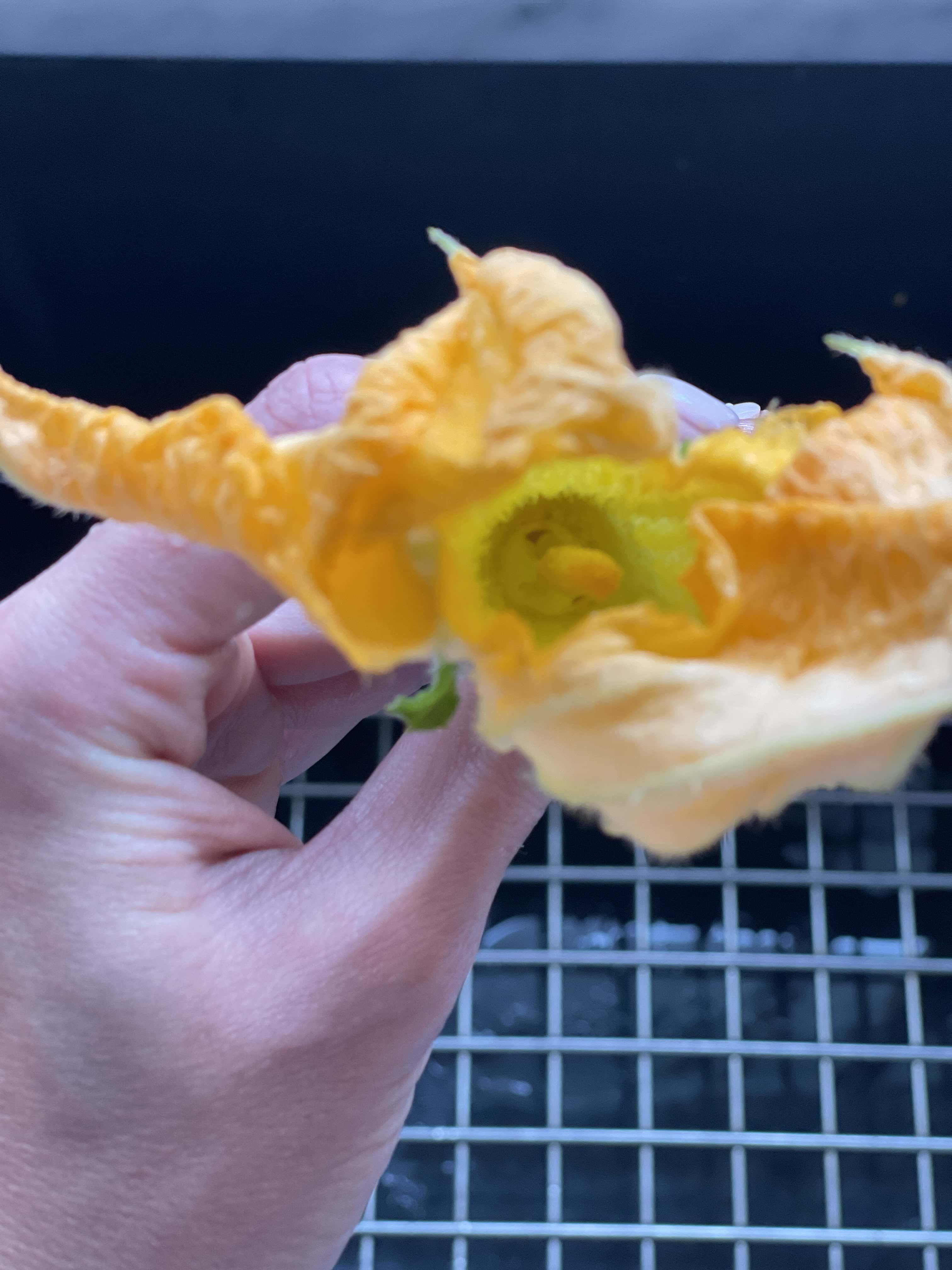 Air Fried Stuffed Zucchini Flowers Sweet Savory and Steph