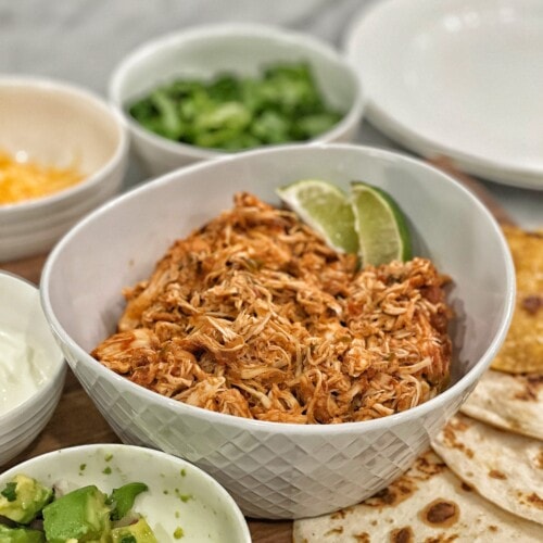 salsa chicken