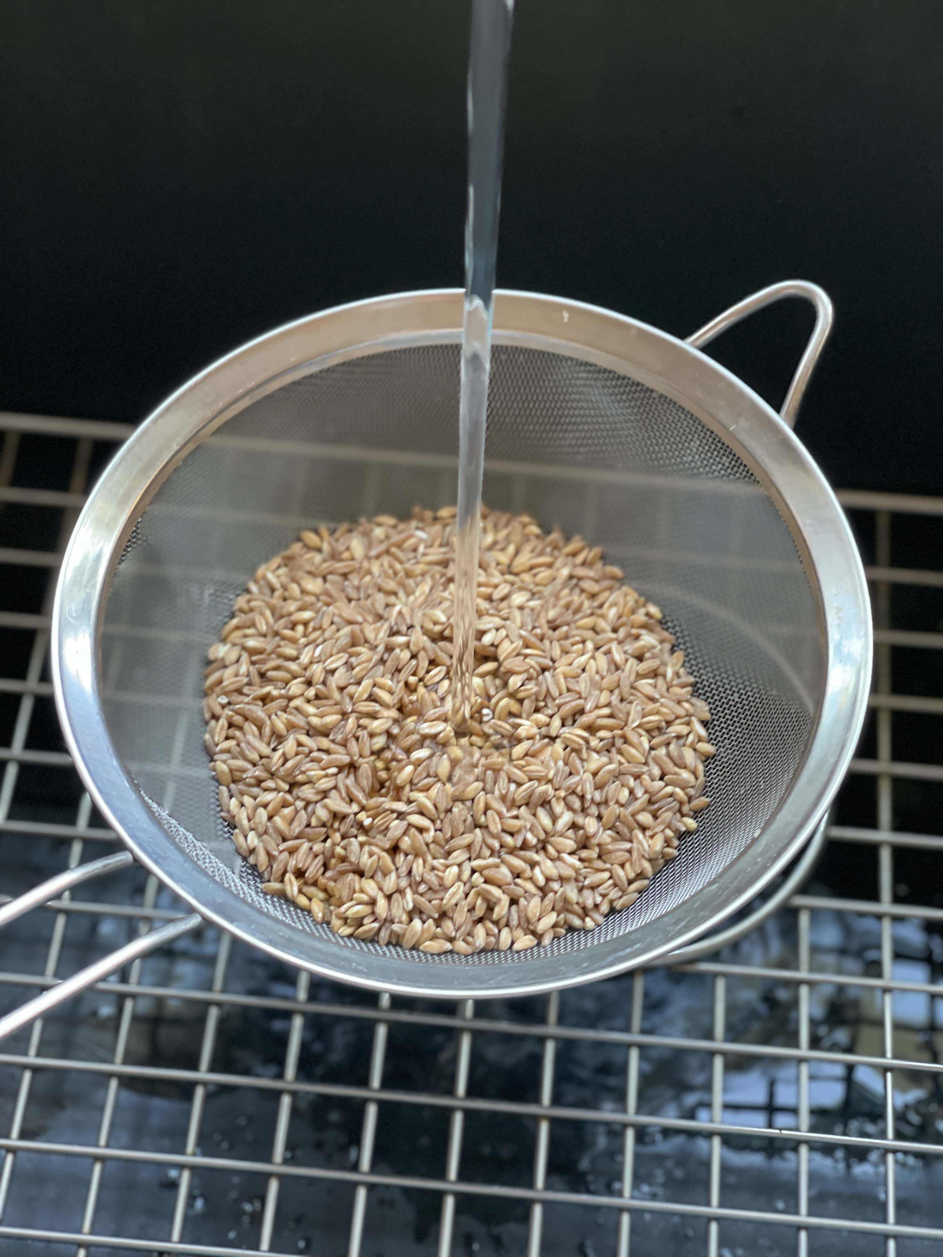 Grilled Vegetable Farro Salad and Chicken Sweet Savory and Steph